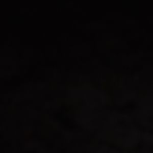 Meet your Posher, Milly